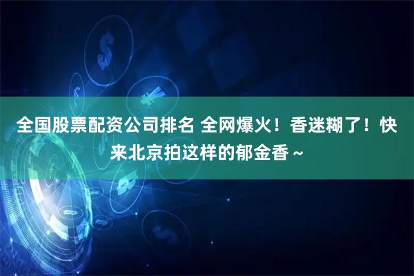 全国股票配资公司排名 全网爆火！香迷糊了！快来北京拍这样的郁金香～