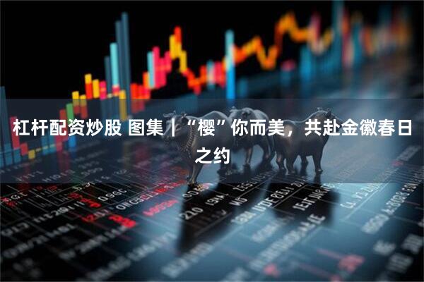 杠杆配资炒股 图集｜“樱”你而美，共赴金徽春日之约